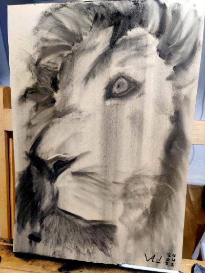 A charcoal portrait of a lion head in 3/4 view. It combines drawing with a stick of charcoal with the use of brushwork, which was used to apply powdered charcoal.