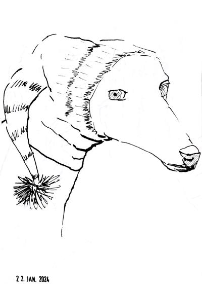 An ink drawing of a dog wearing a winter hat with a pompom