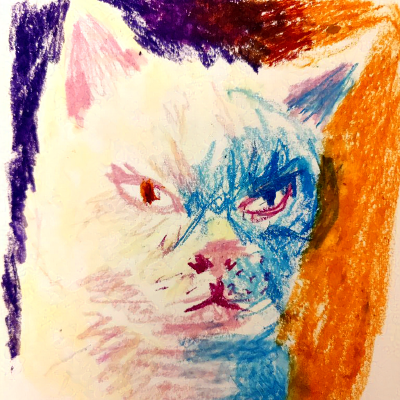 oil pastel painting of a cat's face