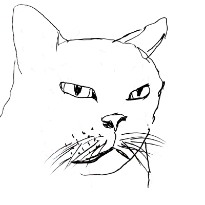 felt tip pen drawing of a cat's face