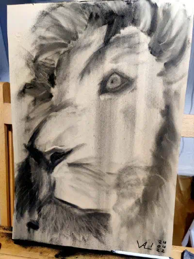 A charcoal portrait of a lion head in 3/4 view. It combines drawing with a stick of charcoal with the use of brushwork, which was used to apply powdered charcoal.