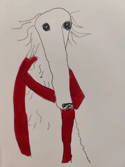 Drawing of a borzoi with an extra long snoot and a red scarf