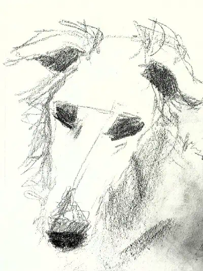 graphite portrait sketch of a dog (borzoi)