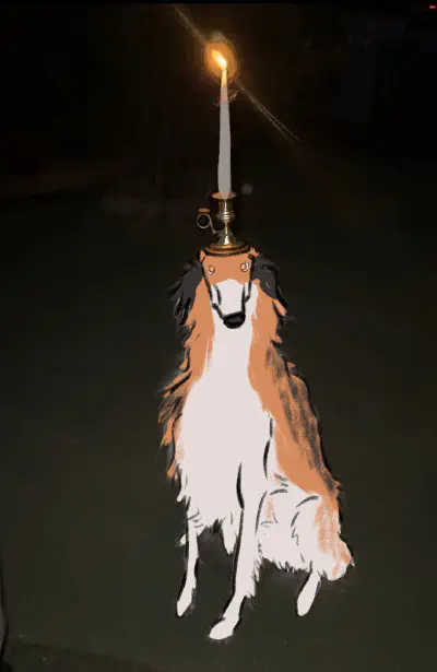 drawover of a flash photo at night of a borzoi with a lit candle on its head