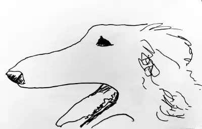 Fineliner drawing of a borzoi in profile