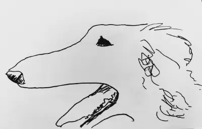 Fineliner drawing of a borzoi in profile