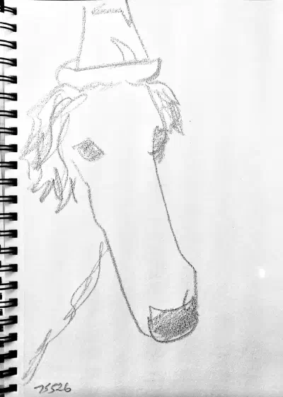 A graphite drawing of a borzoi wearing a wizard hat